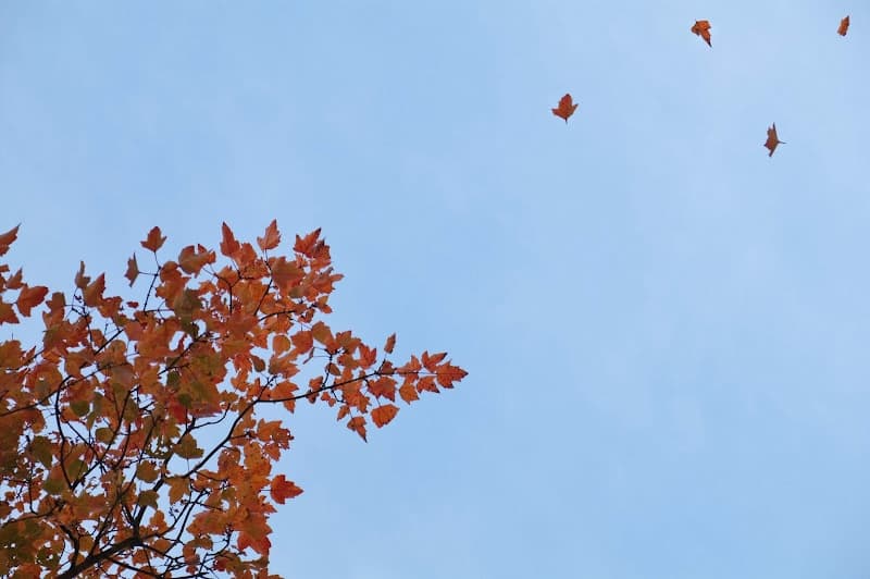 Improving Oracle SQL Query with Connect By Performance