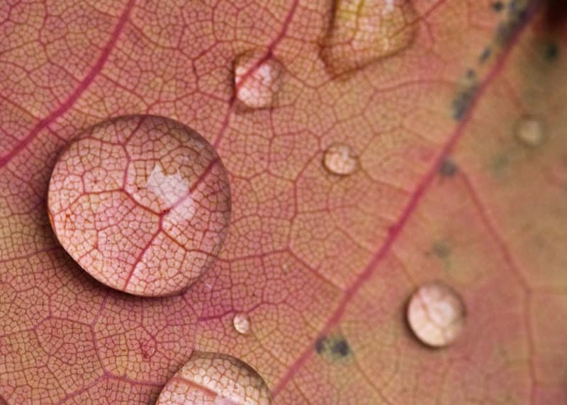 Using Faceted Search in Additional Region Types